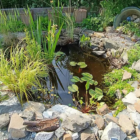 Σπίτι διακοπών Relax Under A Pitched Roof In The Sauerland Region