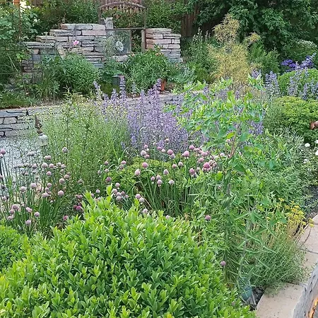 Relax Under A Pitched Roof In The Sauerland Region * Meschede